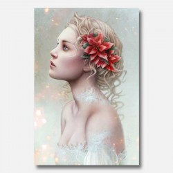 Postcard - Poinsettia