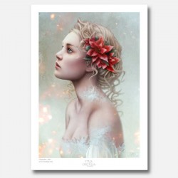 Poinsettia - Fine Art Print