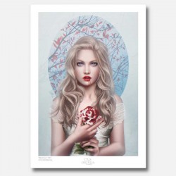 Blood rose - Fine Art Print